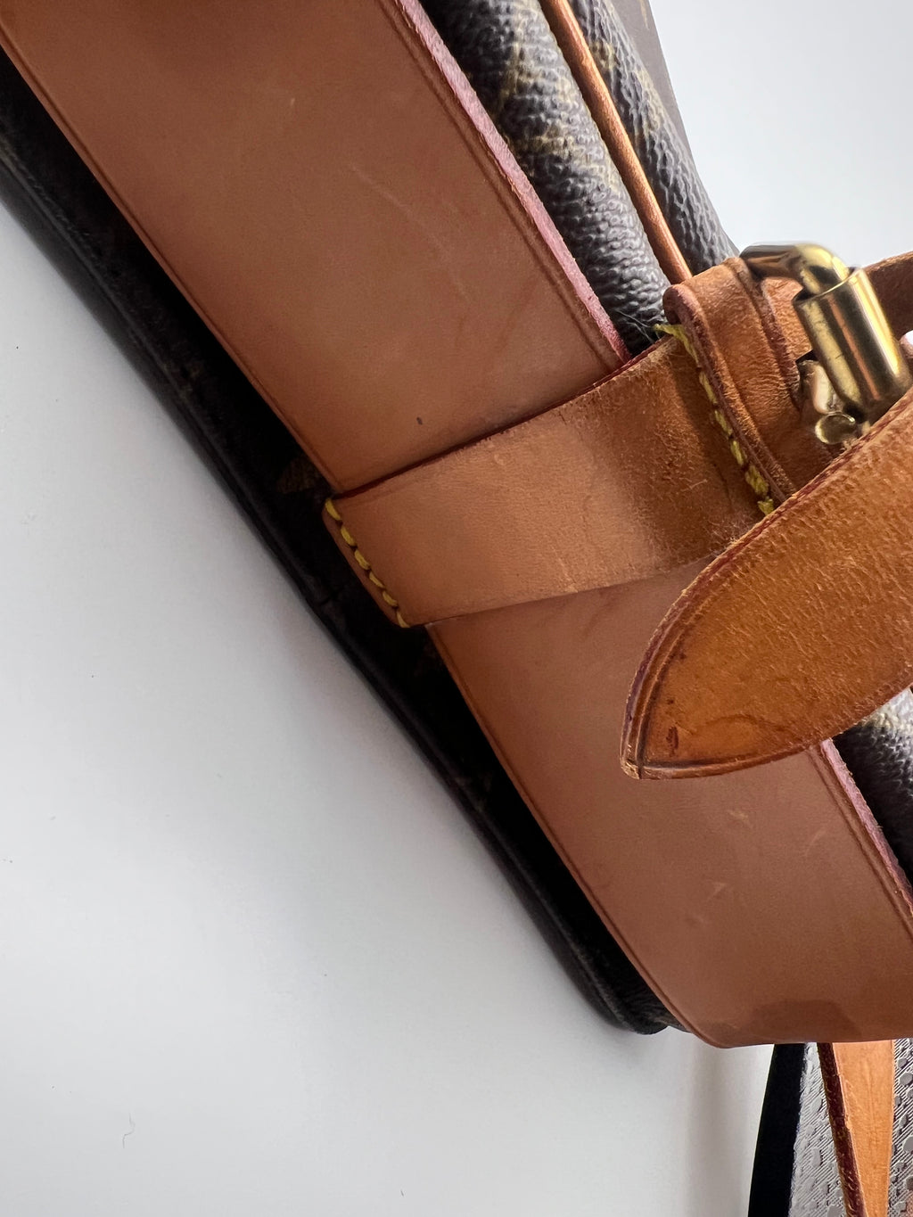 Louis Vuitton Cartouchière Bag MM