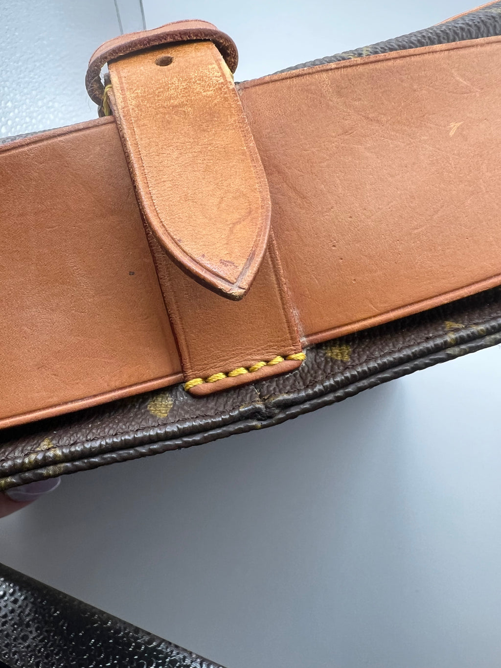 Louis Vuitton Cartouchière Bag MM