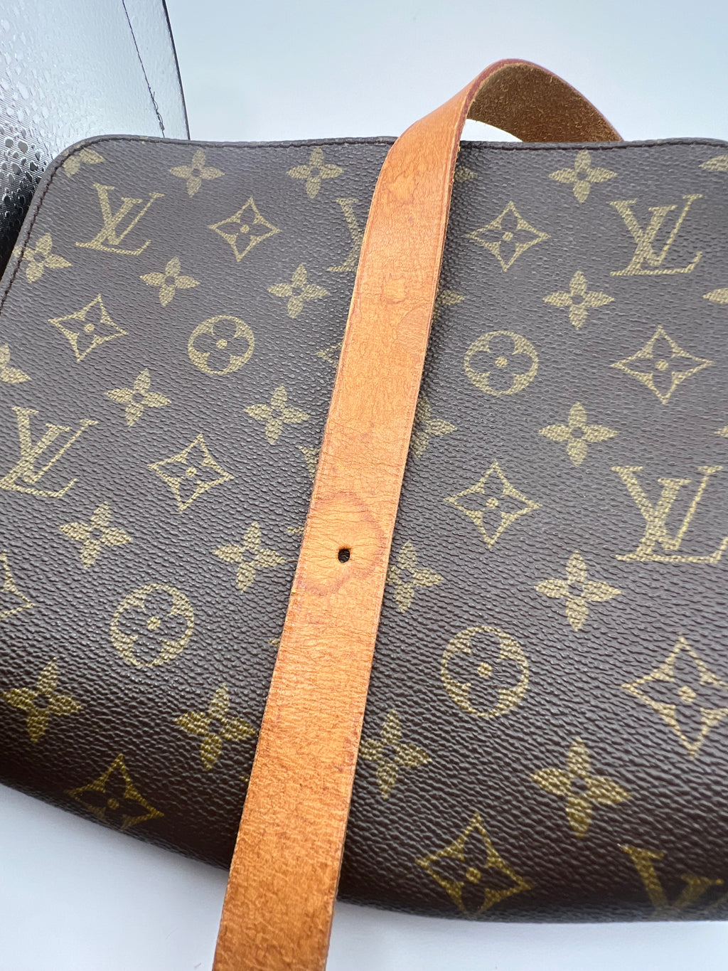 Louis Vuitton Cartouchière Bag MM