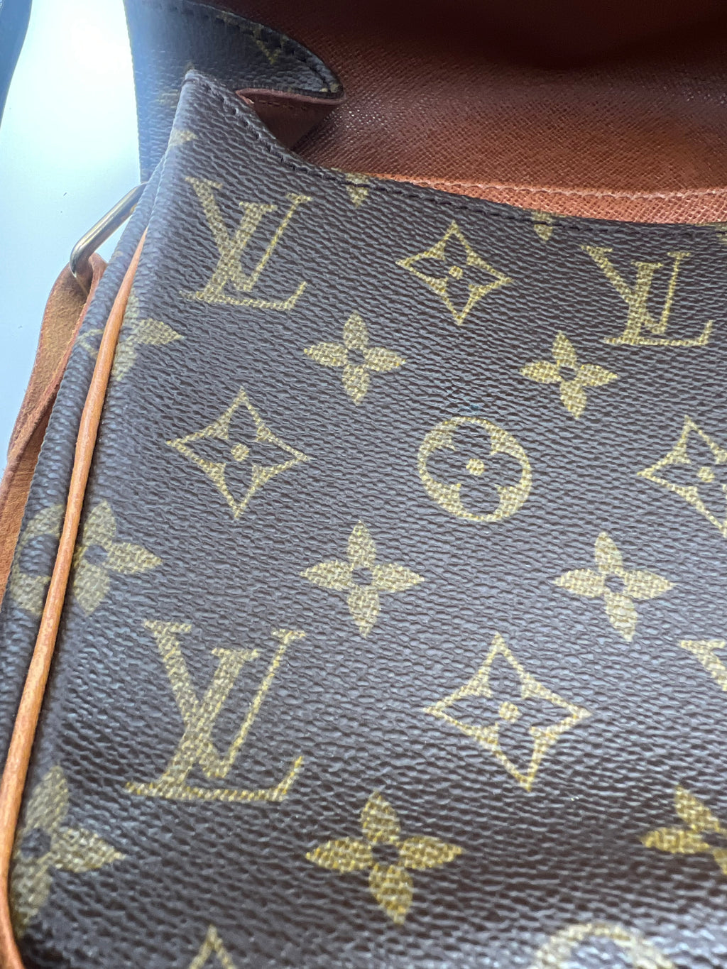 Louis Vuitton Cartouchière Bag MM